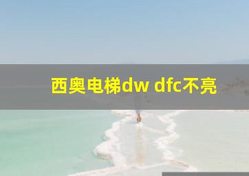 西奥电梯dw dfc不亮